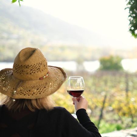 Quinta Das Casas - Douro Winery & Villas 빌라레알 외부 사진