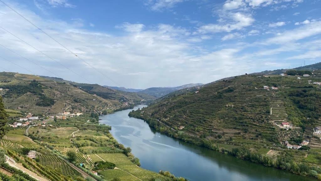 Quinta Das Casas - Douro Winery & Villas 빌라레알 외부 사진