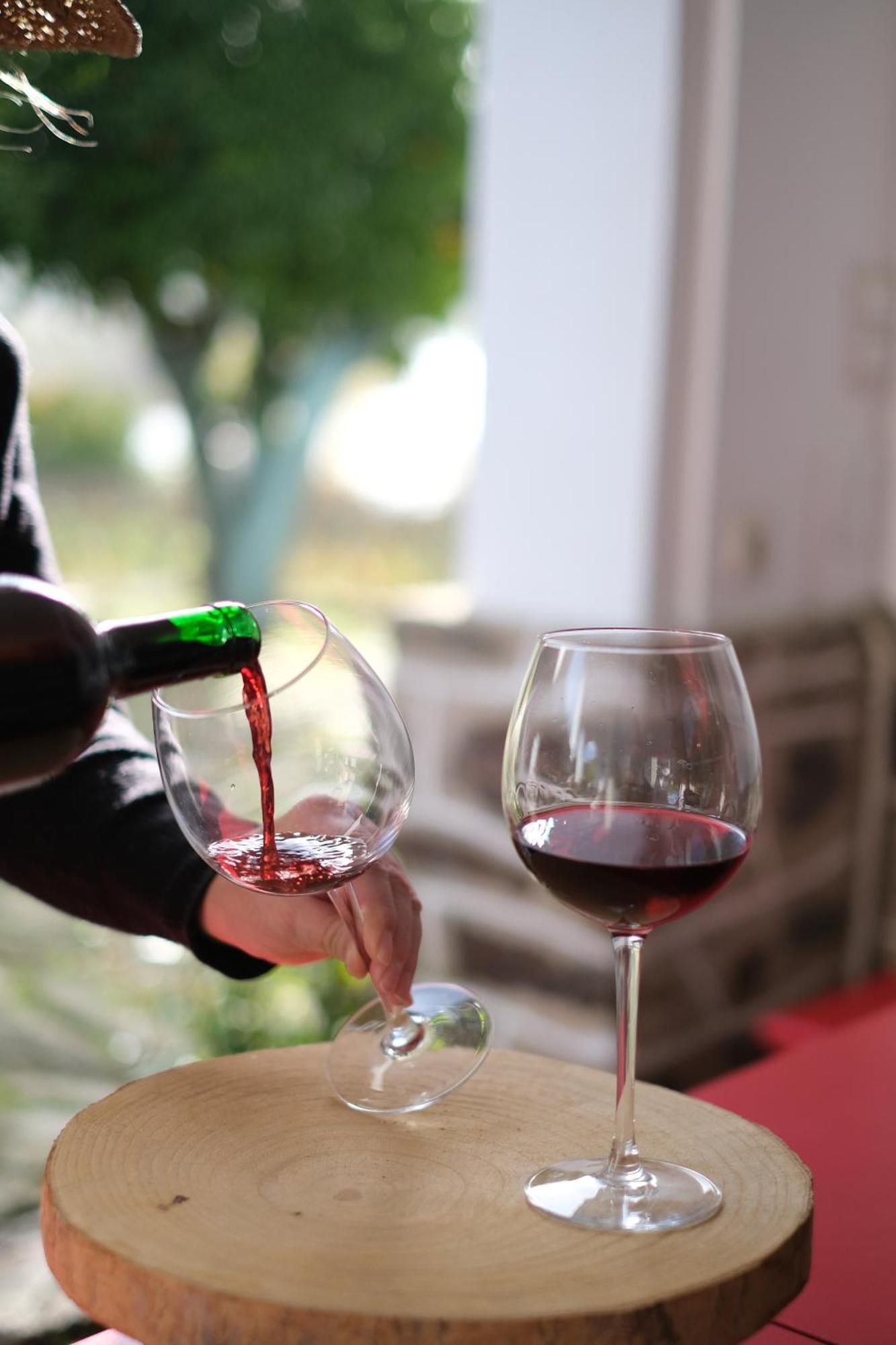 Quinta Das Casas - Douro Winery & Villas 빌라레알 외부 사진