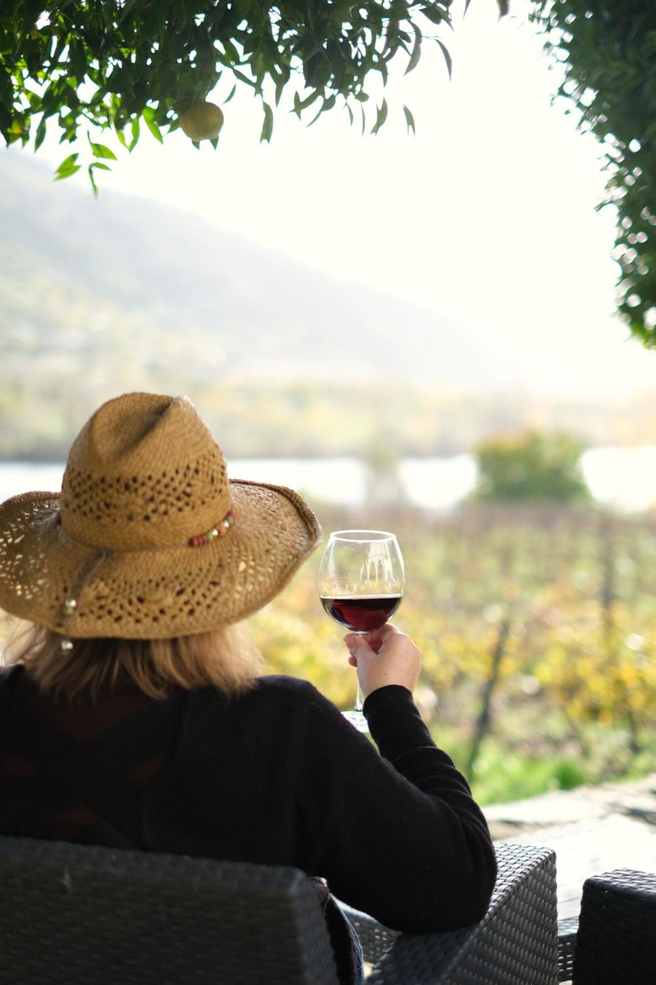 Quinta Das Casas - Douro Winery & Villas 빌라레알 외부 사진
