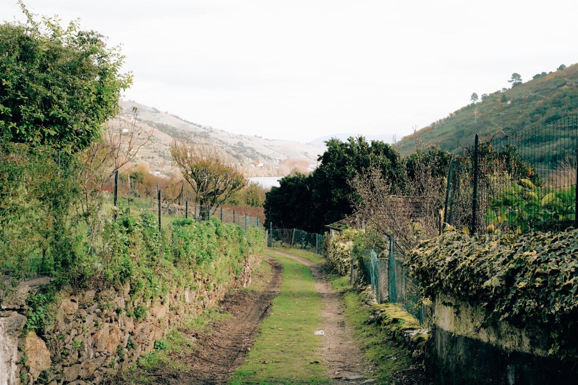 Quinta Das Casas - Douro Winery & Villas 빌라레알 외부 사진